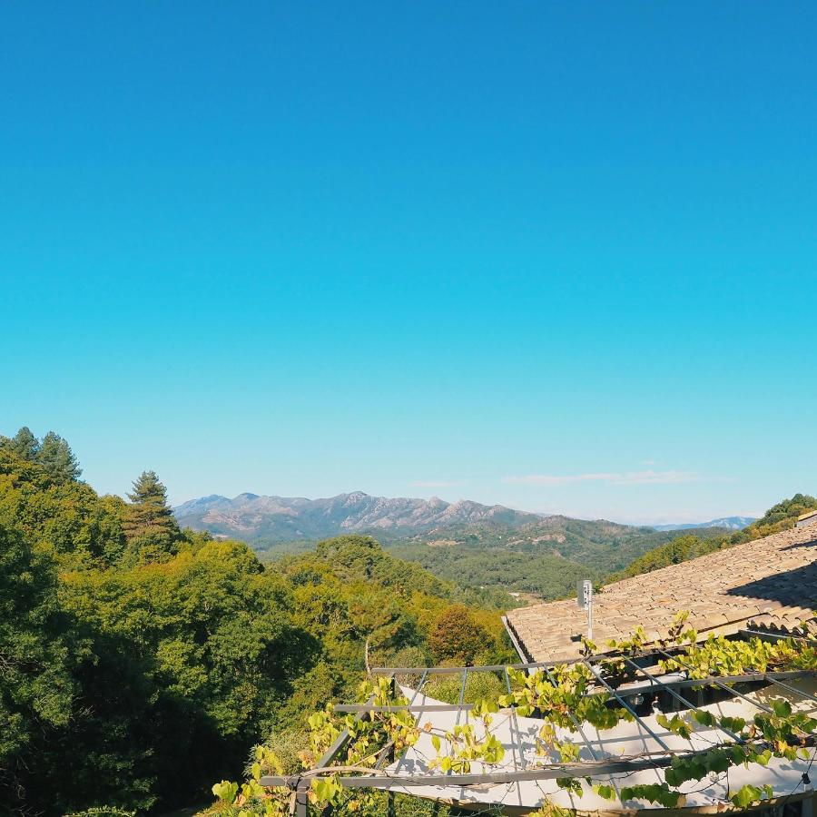 L'Evidence Bed and Breakfast Prades  Εξωτερικό φωτογραφία