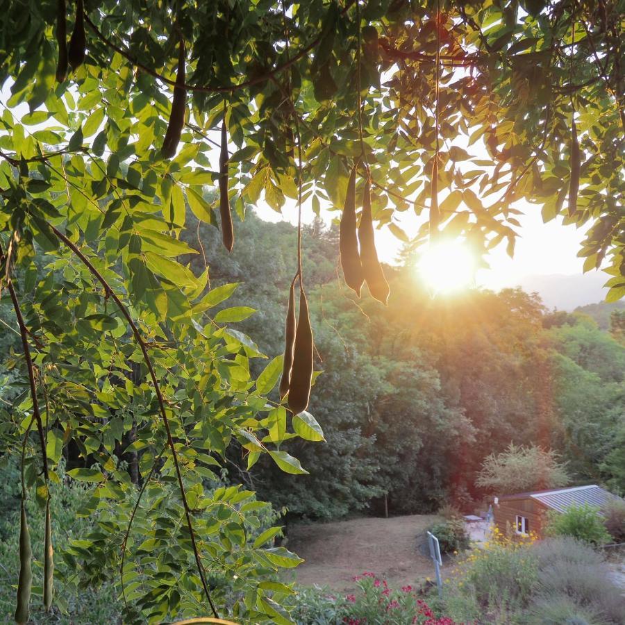 L'Evidence Bed and Breakfast Prades  Εξωτερικό φωτογραφία